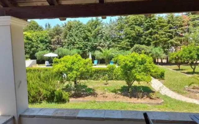 Lemontree Apartments