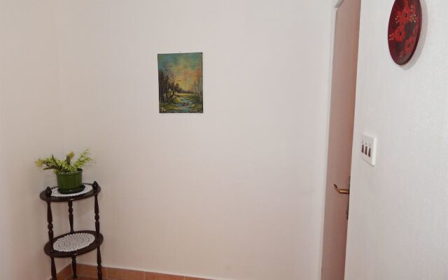 Apartments Rajko