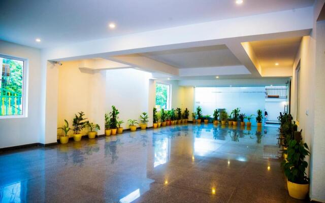 Lime Tree Luxury Studio