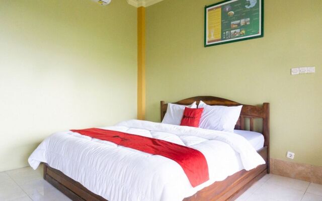 RedDoorz near Senaru Rinjani