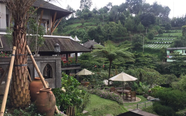 Rumah Stroberi Organic Farm and Lodge