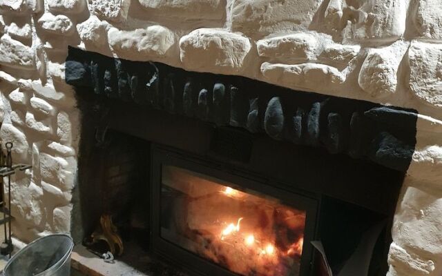 L'Ours Blanc
