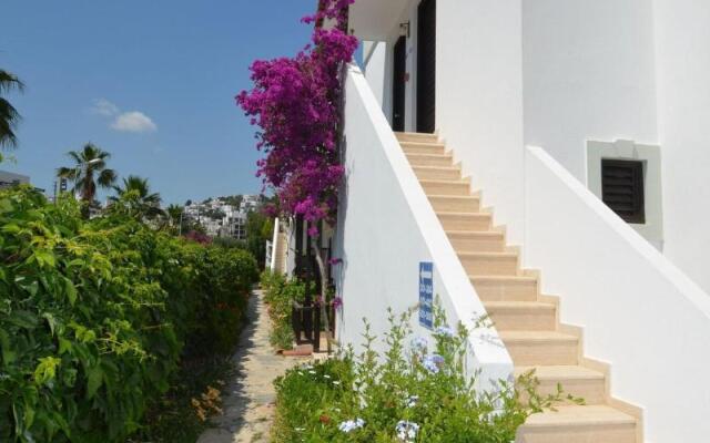 Salinas Beach Hotel Bodrum/Boutique Concept