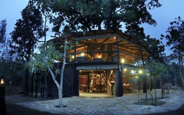 Pugdundee Safaris- Tree House Hideaway
