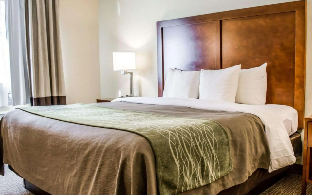 Comfort Inn Fort Myers Northeast