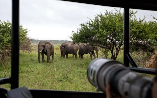 Royal Thonga Safari Lodge