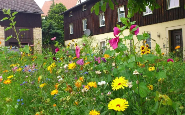 Modern Apartment in Weissig Saxony With Garden