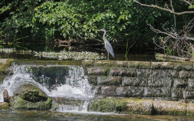 12 Eamont Park