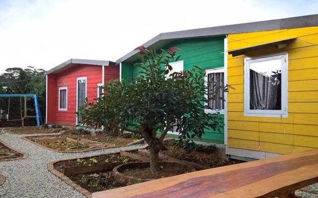 Degree 29 B Hostel