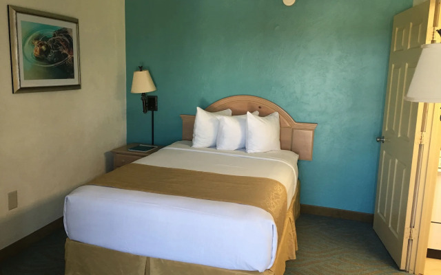 Tropical Winds Oceanfront Hotel