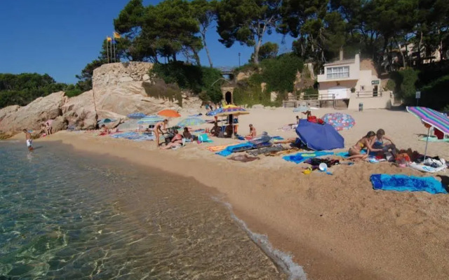 Camping Treumal
