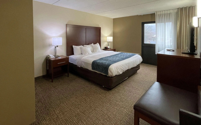 Comfort Inn Binghamton I-81