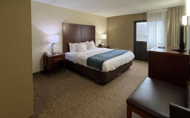 Comfort Inn Binghamton I-81