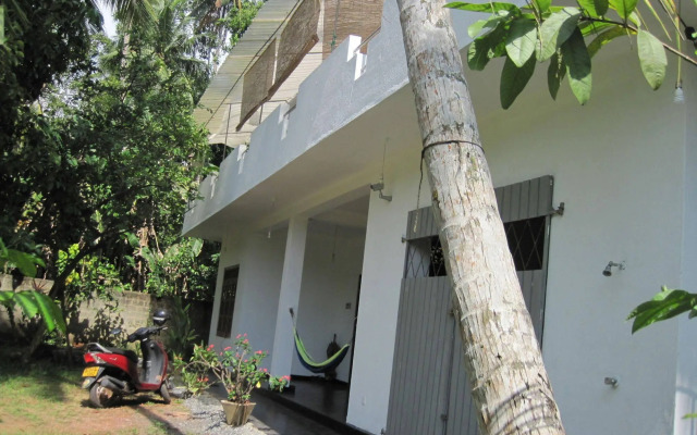 Jungleside House