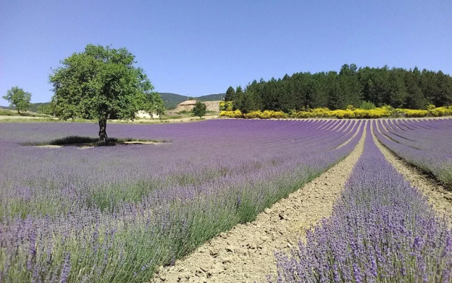 Vvf Villages Montbrun Les Bains