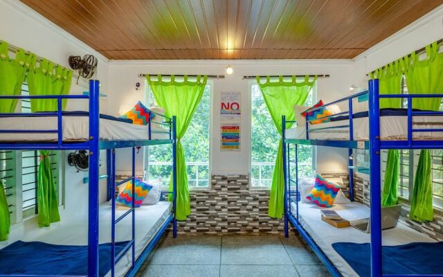 goSTOPS Munnar