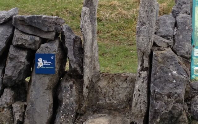 Burren Bushcraft - Camping & Adventures