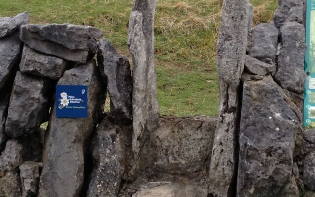 Burren Bushcraft - Camping & Adventures