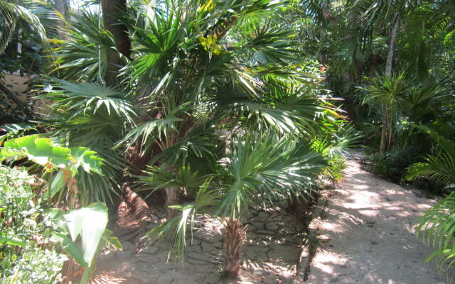 Coconut Tree West End