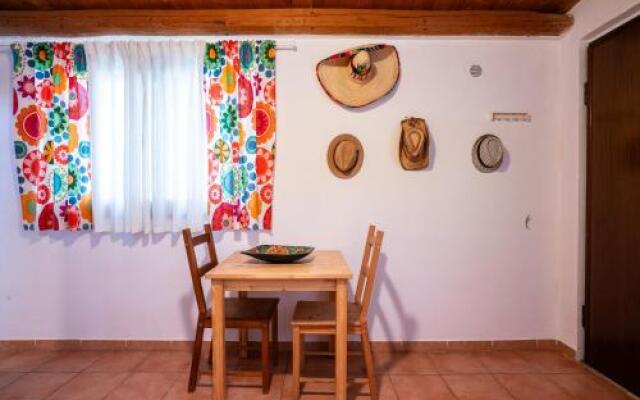 Geko's House