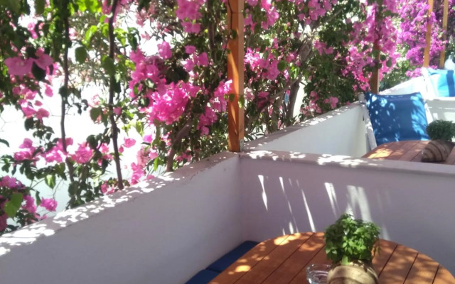 Doron Hotel Delfini