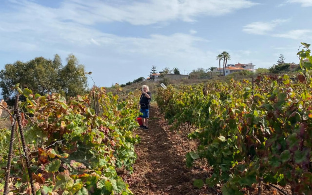 Finca Angelus Apartment Syrah with Amazing Views