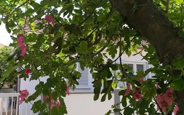 Beautiful apartment Brby near sandy beach
