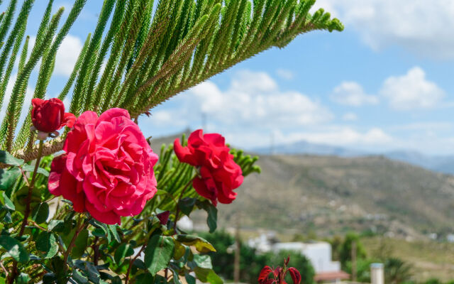 Villa of Roses - Private villa with pool