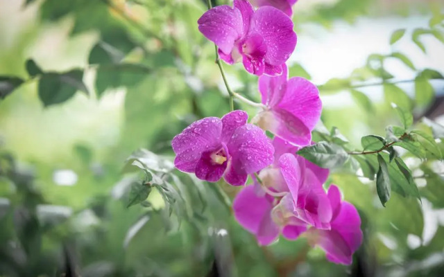 The Gateway Residency