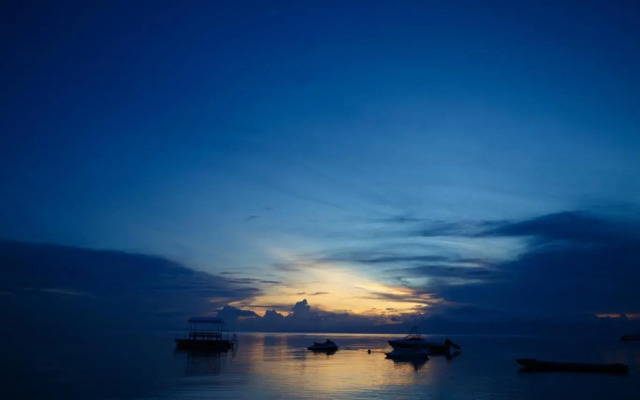 Tropical Fun Ta Sea Rentals