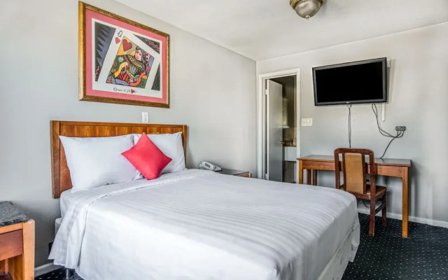 OYO Inn Dallas South