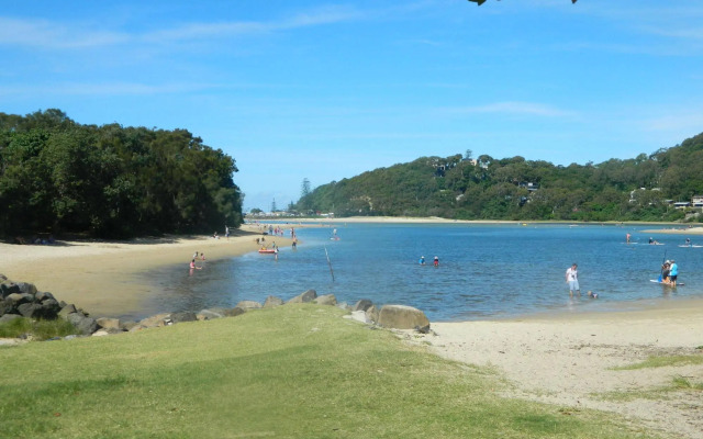 Princess Palm on the Beach