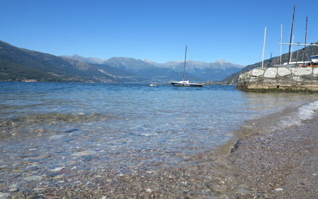 Riva Bellano Camelia 1