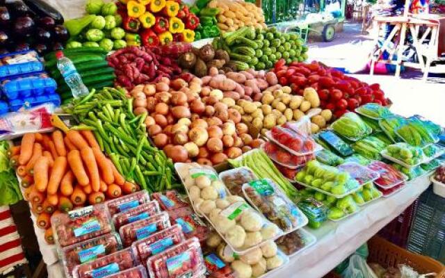 Copa Premium - Conforto E Exclusividade!!