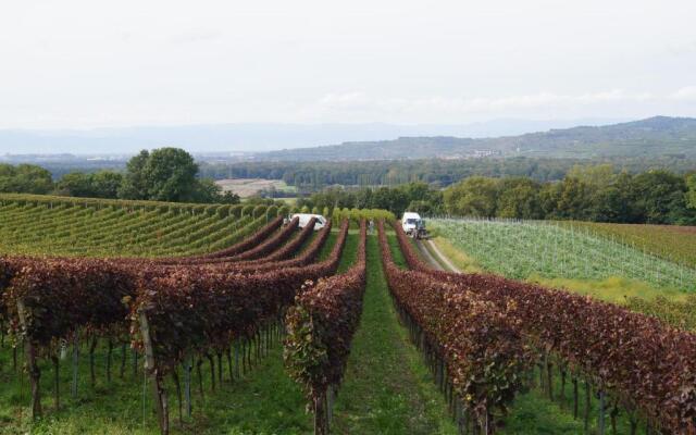 Weingut Landmann Ferienwohnungen