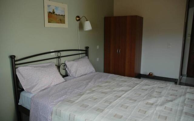 Elenis Olive green Studio