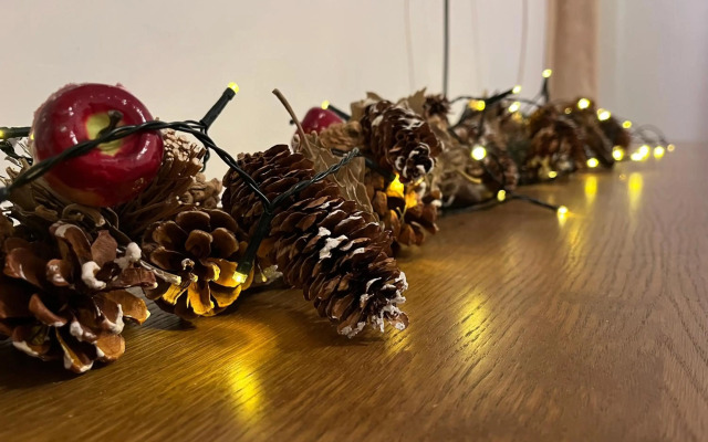 Ski & Relax Apartments in Bellevue Residence