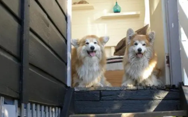 The Tree House, 6 Gowing Street