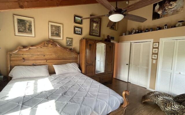 Treehouse Apartment Rentals