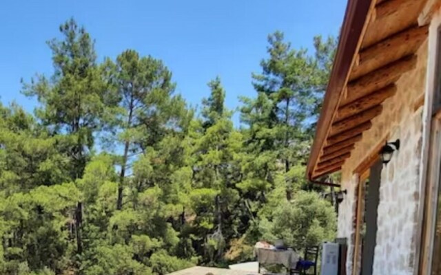 Olympos Stone House Private house