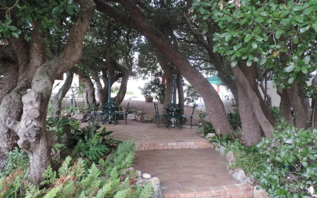 Milkwood Lodge - Hermanus