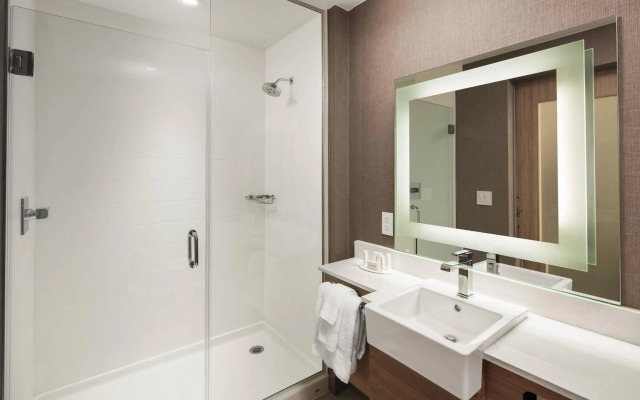 SpringHill Suites by Marriott New Orleans Downtown/Canal Street
