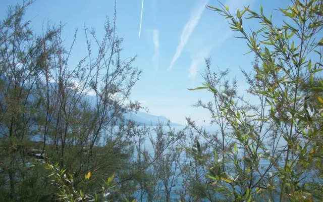 Apartment Beach House