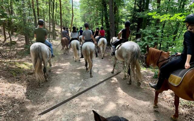 Appart' cosy dans un ranch sur la route des vins