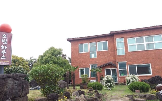 Ophir House Jeju