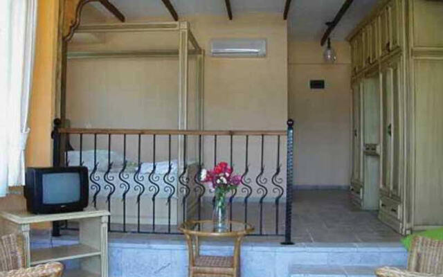 Olive Tree Studio
