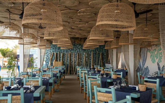 Desert Rose Resort