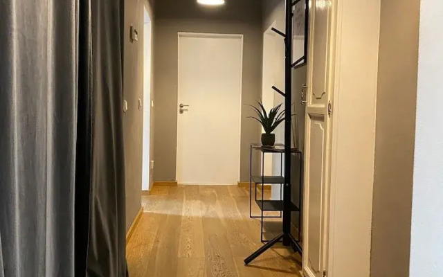 Room-spacious Room in Coliving Apartment