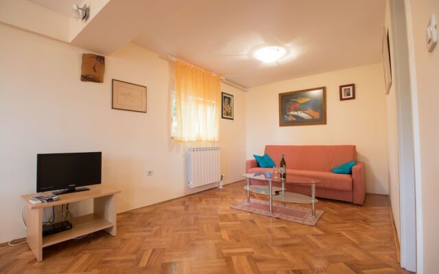 Apartment Višnja