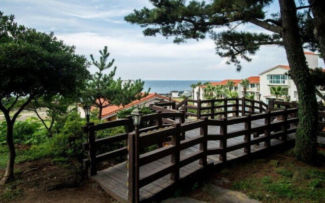 Witch's broomstick Condo